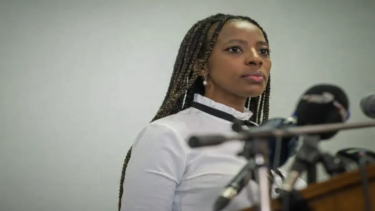 Public Protector South Africa Internship Programme 2026